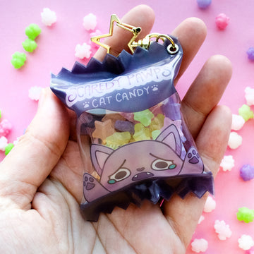 Scaredy Paws Shaker Keychain